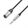 CABLE XLR - JACK